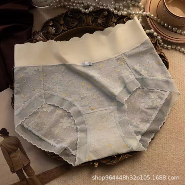 Premium Sexy Lace Transparent Quick Drying Panty - Image 7