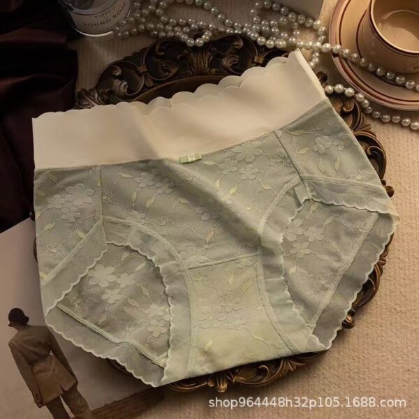 Premium Sexy Lace Transparent Quick Drying Panty - Image 6