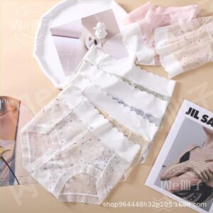 Premium Sexy Lace Transparent Quick Drying Panty