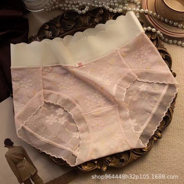 Premium Sexy Lace Transparent Quick Drying Panty - Image 5