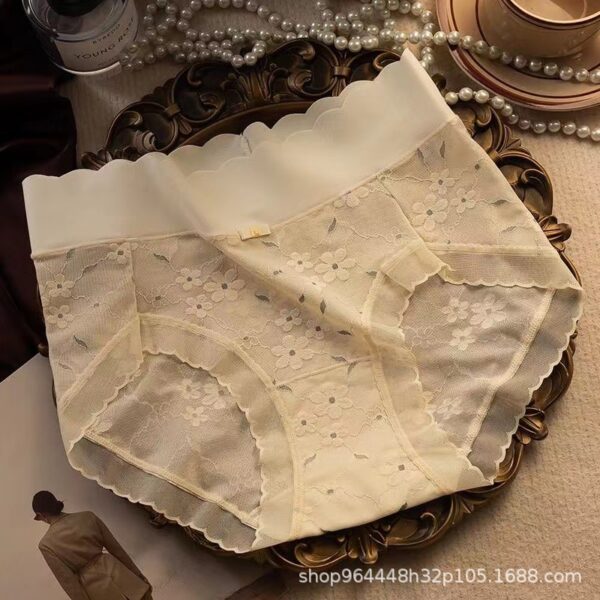 Premium Sexy Lace Transparent Quick Drying Panty - Image 4