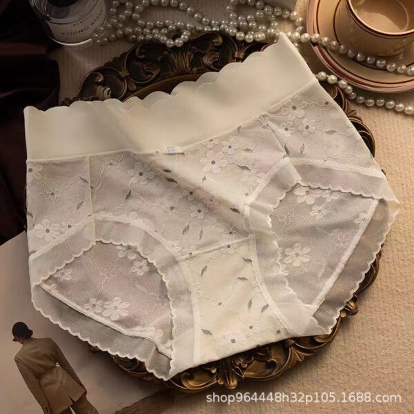 Premium Sexy Lace Transparent Quick Drying Panty - Image 3