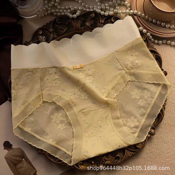 Premium Sexy Lace Transparent Quick Drying Panty - Image 2