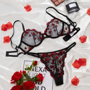 Transparent Sexy Mesh/Net Bra Panty Set