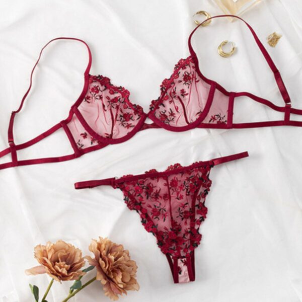 Transparent Sexy Mesh/Net Bra Panty Set - Hersonal